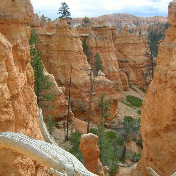 2007, Bryce Canyon NP, USA, Urlaub