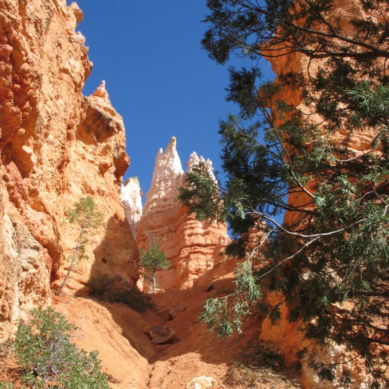 2007, Bryce Canyon NP, USA, Urlaub