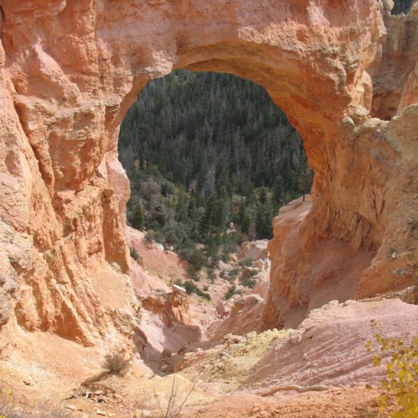 2007, Bryce Canyon NP, USA, Urlaub