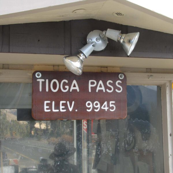 2007, USA, Urlaub, Yosemite NP