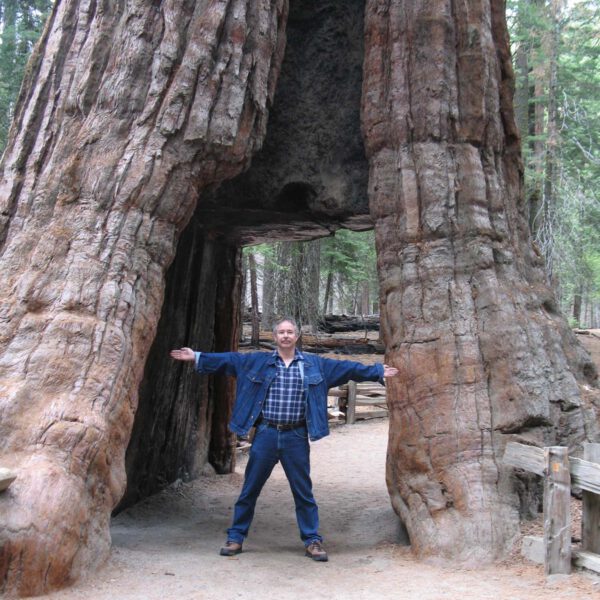 2007, USA, Urlaub, Yosemite NP