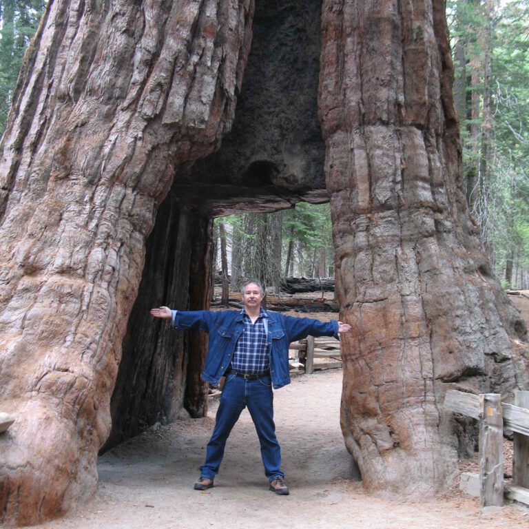 2007, USA, Urlaub, Yosemite NP