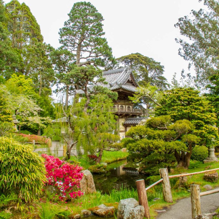 Holidays, Japanese Garden, San Francisco, Southwest, Süd-Westen, USA, Urlaub, Vereinigte Staaten