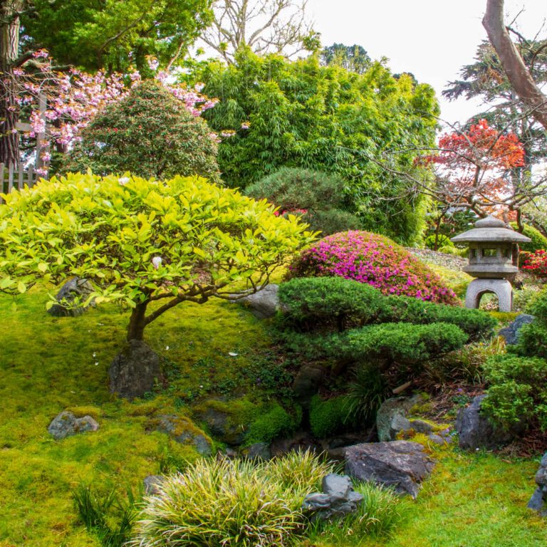 Holidays, Japanese Garden, San Francisco, Southwest, Süd-Westen, USA, Urlaub, Vereinigte Staaten