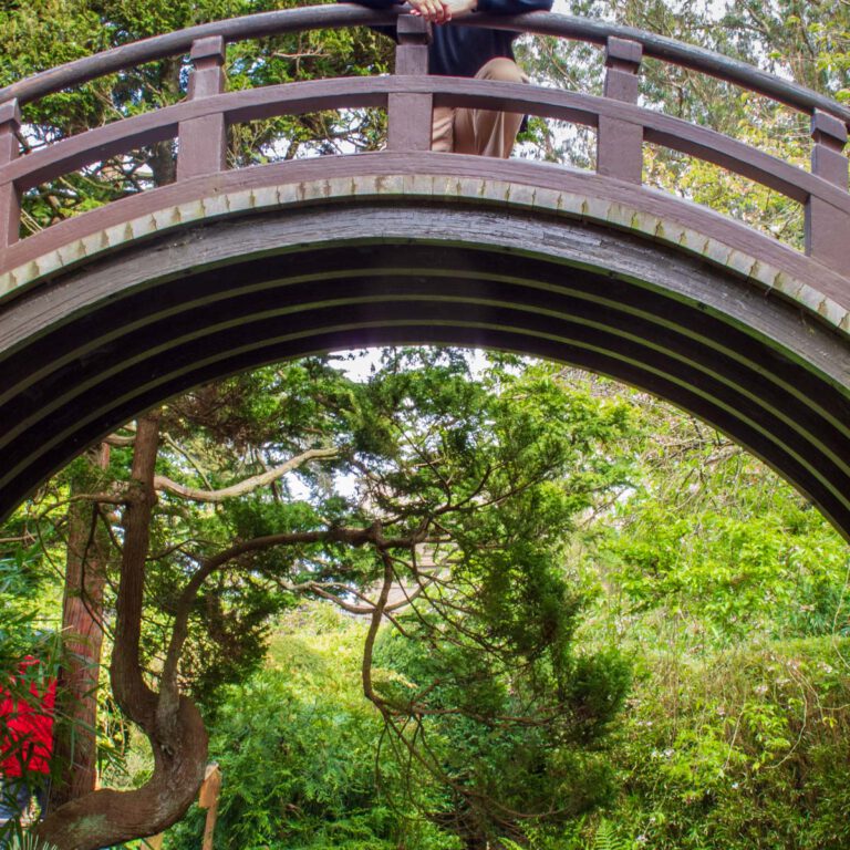 Holidays, Japanese Garden, Martin, San Francisco, Southwest, Süd-Westen, USA, Urlaub, Vereinigte Staaten