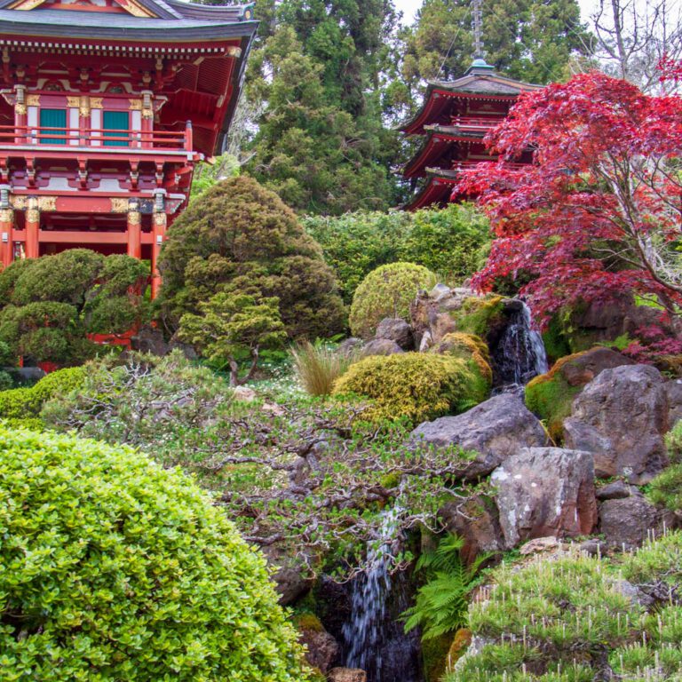 Holidays, Japanese Garden, San Francisco, Southwest, Süd-Westen, USA, Urlaub, Vereinigte Staaten