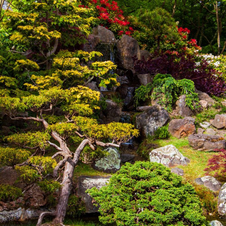 Holidays, Japanese Garden, San Francisco, Southwest, Süd-Westen, USA, Urlaub, Vereinigte Staaten