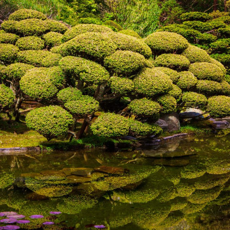 Holidays, Japanese Garden, San Francisco, Southwest, Süd-Westen, USA, Urlaub, Vereinigte Staaten