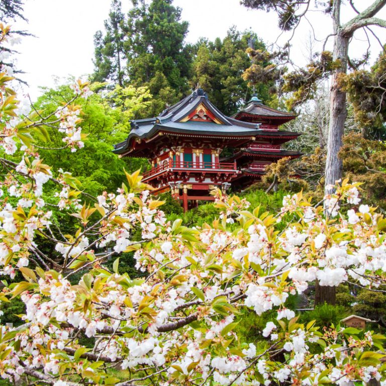 Holidays, Japanese Garden, San Francisco, Southwest, Süd-Westen, USA, Urlaub, Vereinigte Staaten