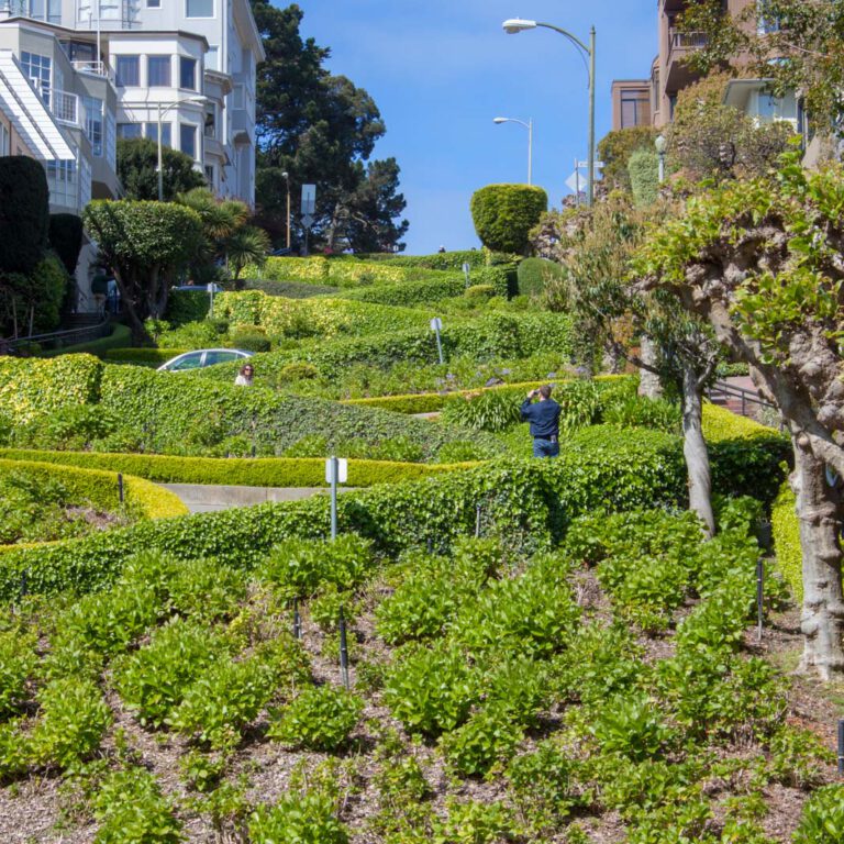 Holidays, Lombard Street, San Francisco, Southwest, Süd-Westen, USA, Urlaub, Vereinigte Staaten