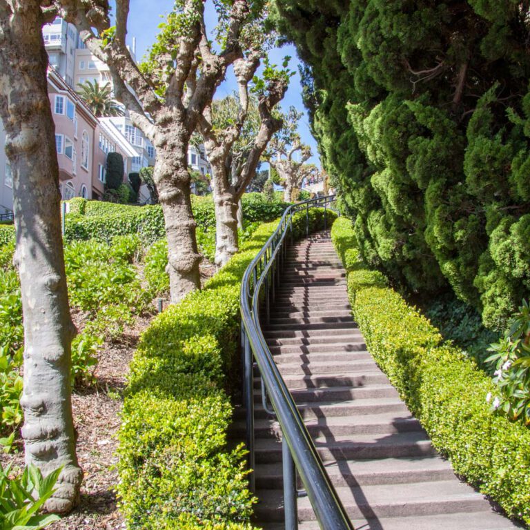 Holidays, Lombard Street, San Francisco, Southwest, Süd-Westen, USA, Urlaub, Vereinigte Staaten