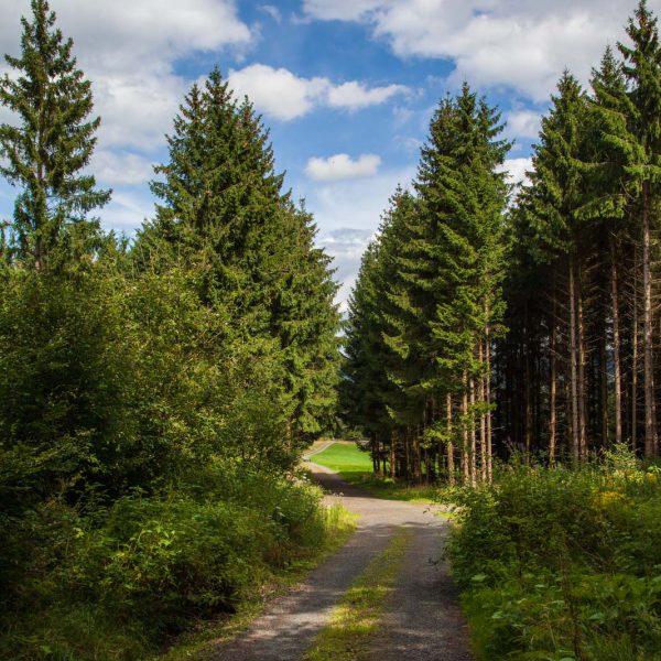 Deutschland, Germany, Hinterland, Lahn-Dill-Bergland