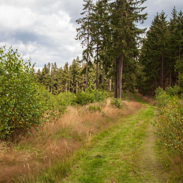 Deutschland, Germany, Hinterland, Lahn-Dill-Bergland