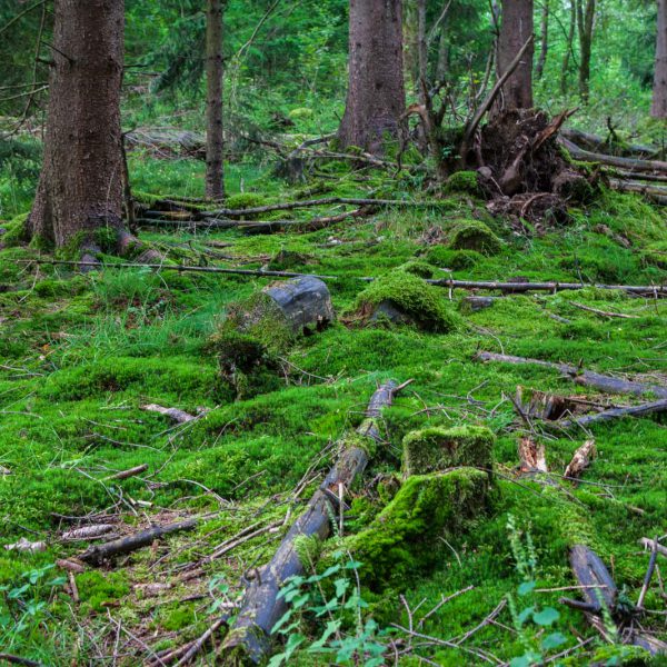 Deutschland, Germany, Hinterland, Lahn-Dill-Bergland