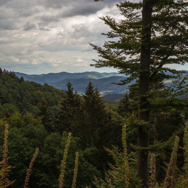 Deutschland, Germany, Hinterland, Lahn-Dill-Bergland