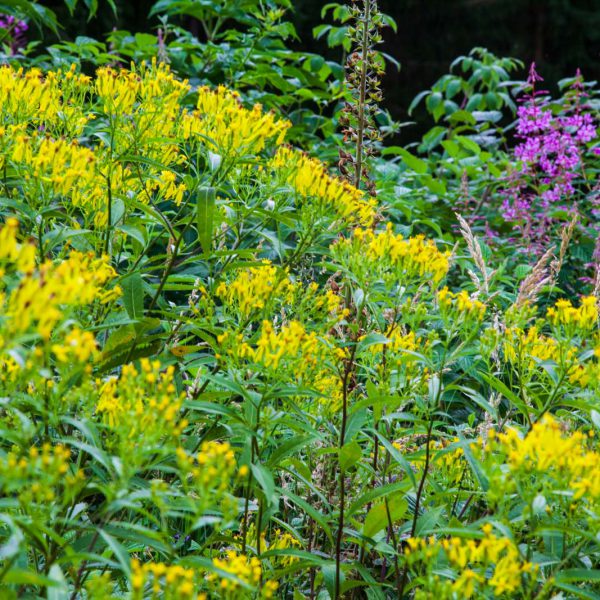 Deutschland, Germany, Hinterland, Lahn-Dill-Bergland