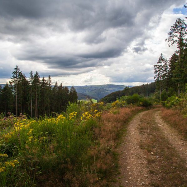 Deutschland, Germany, Hinterland, Lahn-Dill-Bergland