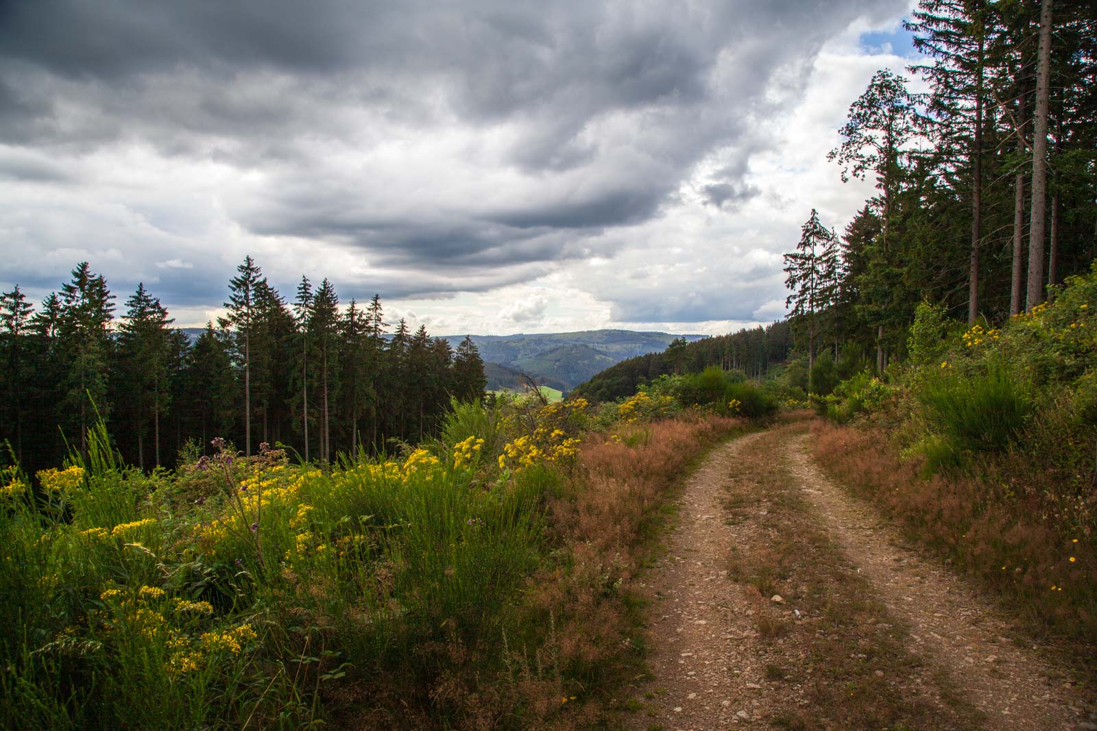 Deutschland, Germany, Hinterland, Lahn-Dill-Bergland