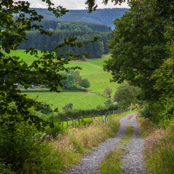Deutschland, Germany, Hinterland, Lahn-Dill-Bergland
