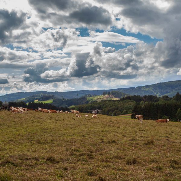 Deutschland, Germany, Hinterland, Lahn-Dill-Bergland