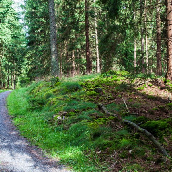 Deutschland, Germany, Hinterland, Lahn-Dill-Bergland