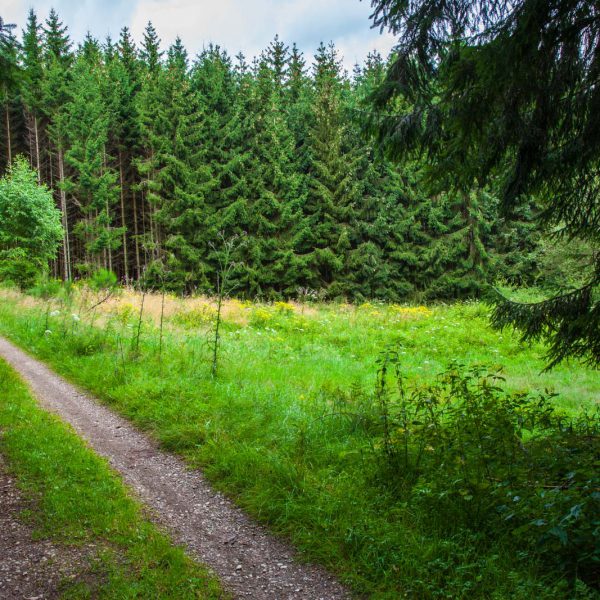 Deutschland, Germany, Hinterland, Lahn-Dill-Bergland