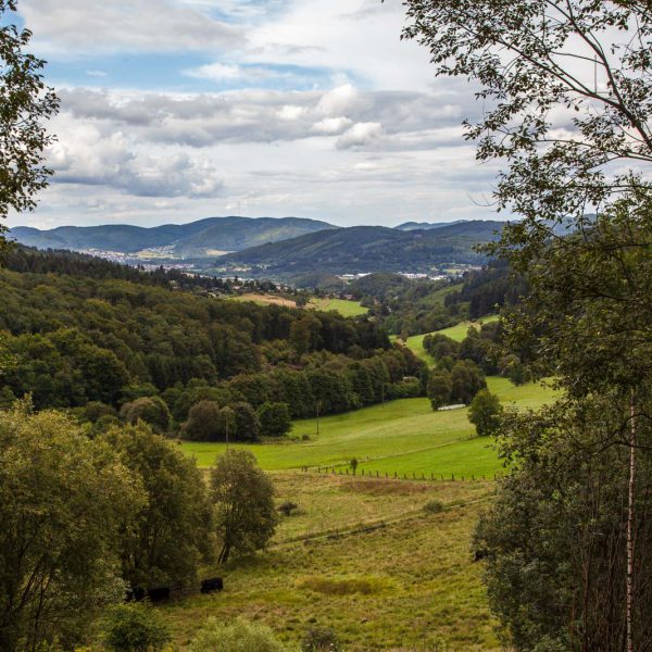 Deutschland, Germany, Hinterland, Lahn-Dill-Bergland