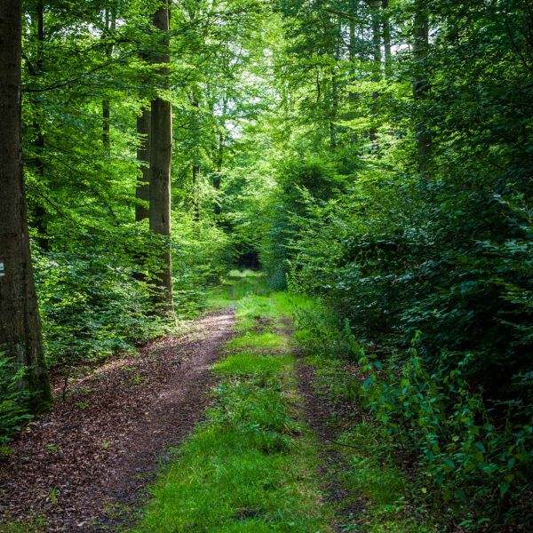Deutschland, Germany, Hinterland, Lahn-Dill-Bergland