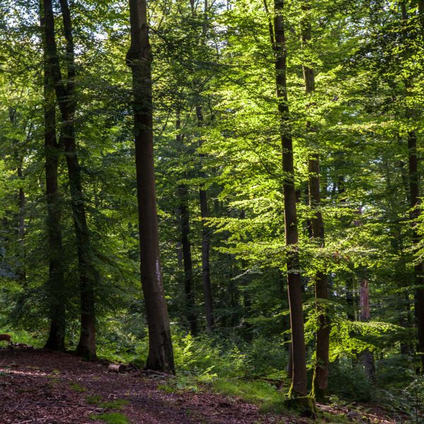 Deutschland, Germany, Hinterland, Lahn-Dill-Bergland