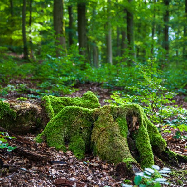 Deutschland, Germany, Hinterland, Lahn-Dill-Bergland