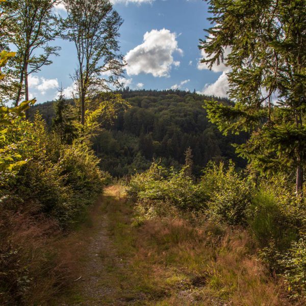 Deutschland, Germany, Hinterland, Lahn-Dill-Bergland
