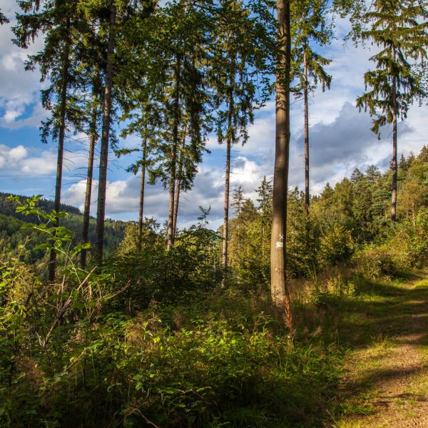 Deutschland, Germany, Hinterland, Lahn-Dill-Bergland