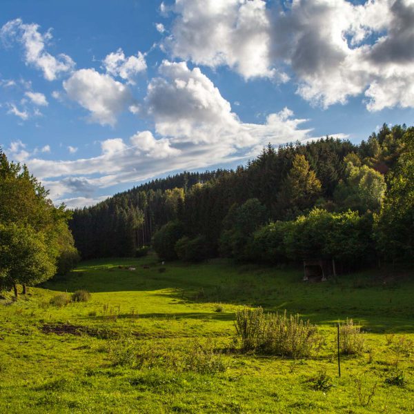 Deutschland, Germany, Hinterland, Lahn-Dill-Bergland