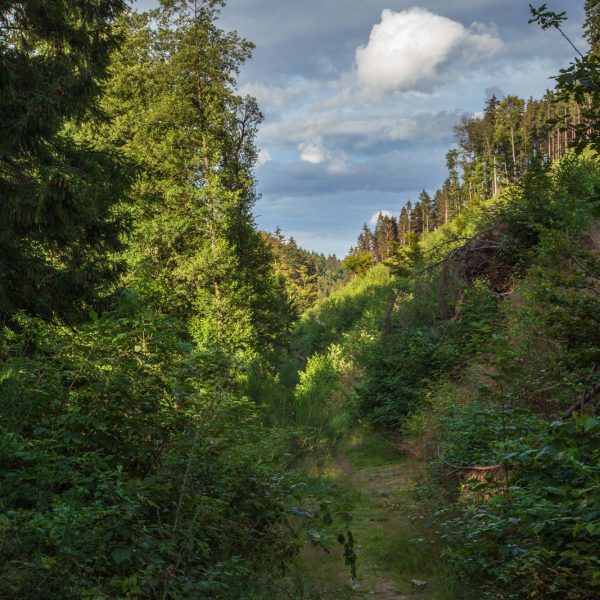 Deutschland, Germany, Hinterland, Lahn-Dill-Bergland