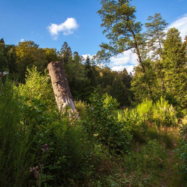 Deutschland, Germany, Hinterland, Lahn-Dill-Bergland