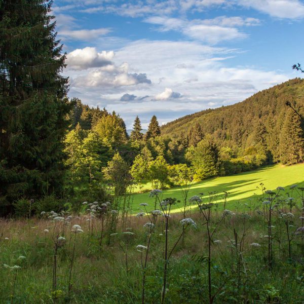 Deutschland, Germany, Hinterland, Lahn-Dill-Bergland