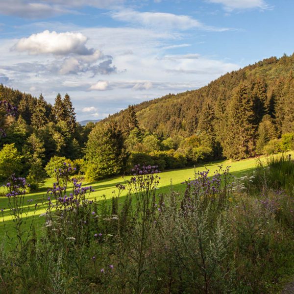 Deutschland, Germany, Hinterland, Lahn-Dill-Bergland