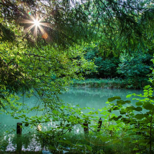 Deutschland, Germany, Hinterland, Lahn-Dill-Bergland