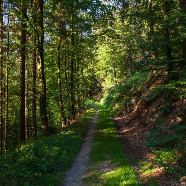 Deutschland, Germany, Hinterland, Lahn-Dill-Bergland