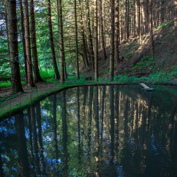 Deutschland, Germany, Hinterland, Lahn-Dill-Bergland