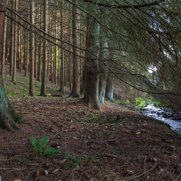 Deutschland, Germany, Hinterland, Lahn-Dill-Bergland