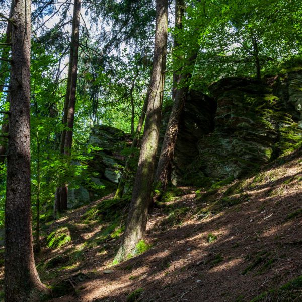 Deutschland, Europa, Europe, Germany, Gladenbach, Hessen, Hessia, Hinterland, Lahn-Dill-Bergland, Location, Mittelhessen, Ort