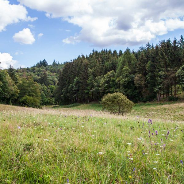 Deutschland, Germany, Hinterland, Lahn-Dill-Bergland