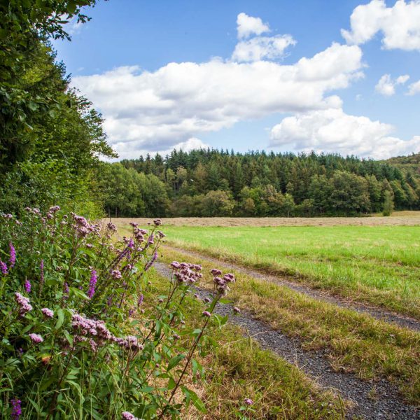 Deutschland, Germany, Hinterland, Lahn-Dill-Bergland