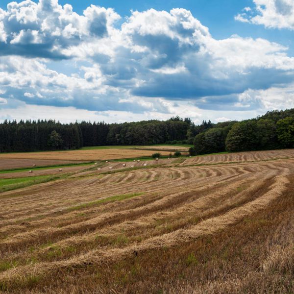 Deutschland, Germany, Hinterland, Lahn-Dill-Bergland