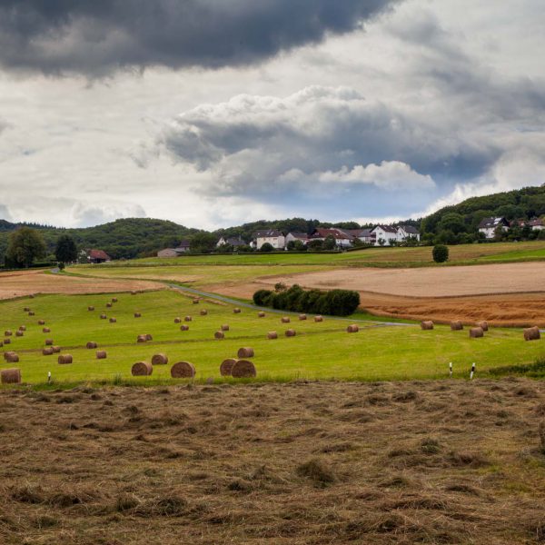 Deutschland, Europa, Europe, Germany, Gladenbach, Hessen, Hessia, Hinterland, Lahn-Dill-Bergland, Location, Ort, Rachelshausen