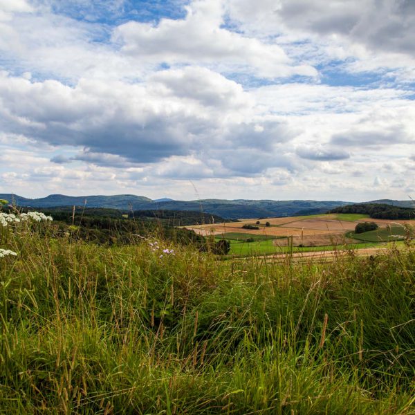 Deutschland, Germany, Hinterland, Lahn-Dill-Bergland