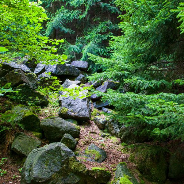 Deutschland, Germany, Hinterland, Lahn-Dill-Bergland