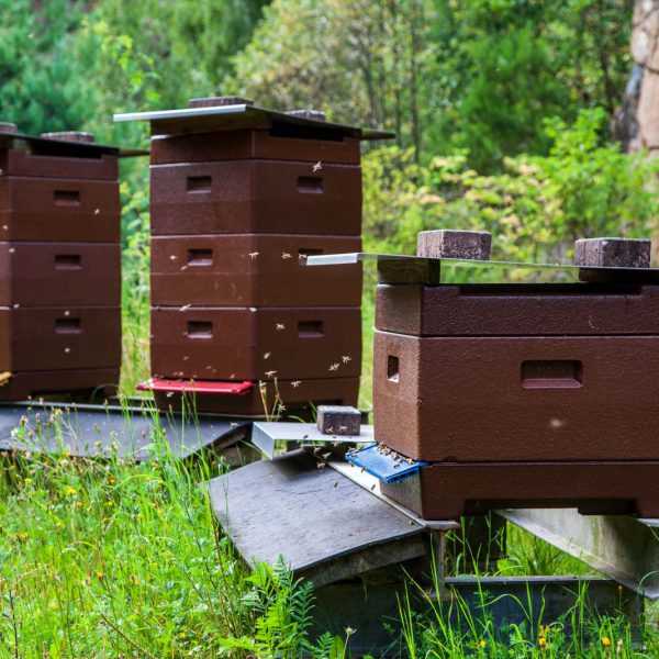 Deutschland, Germany, Hinterland, Lahn-Dill-Bergland