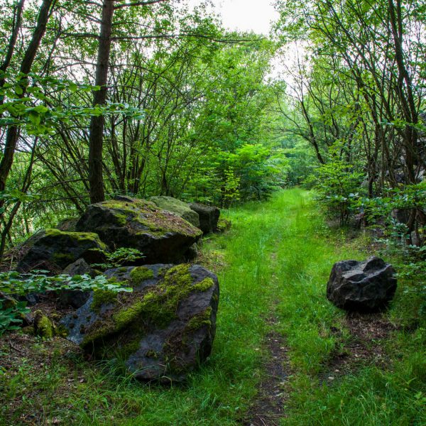Deutschland, Germany, Hinterland, Lahn-Dill-Bergland